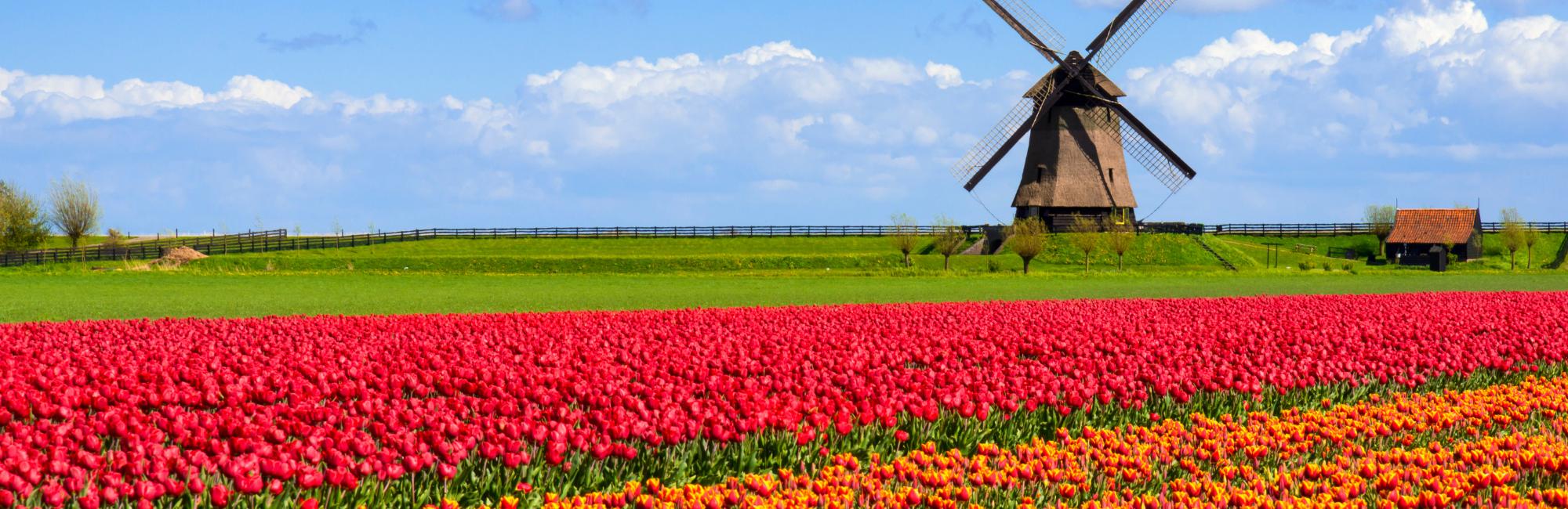 Netherlands - European Bike Tours