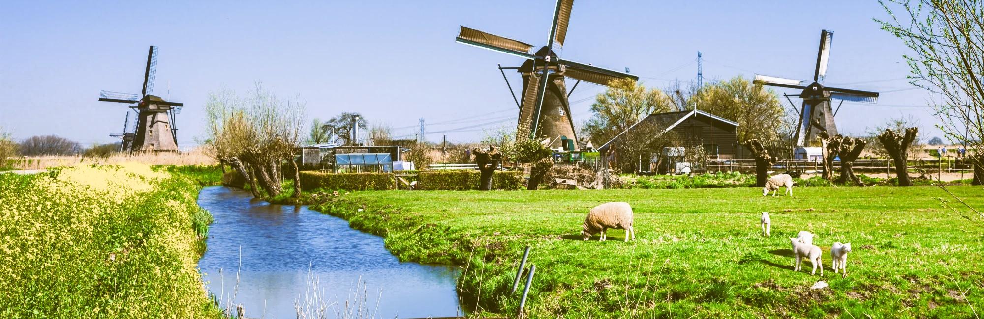 Holland Highlights Tour - 6 days