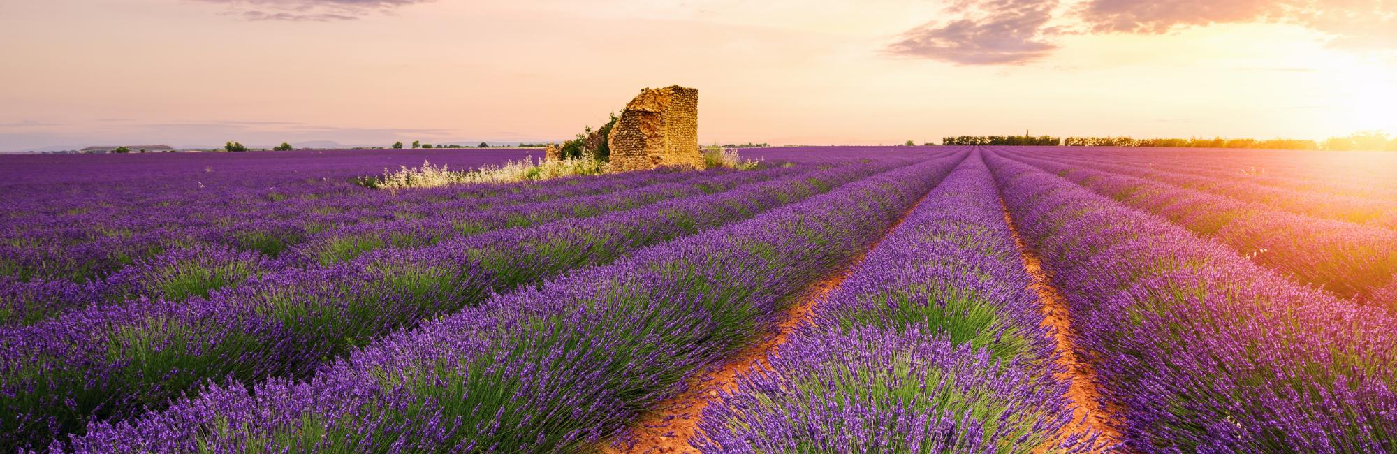 Provence Backroads - 8 days