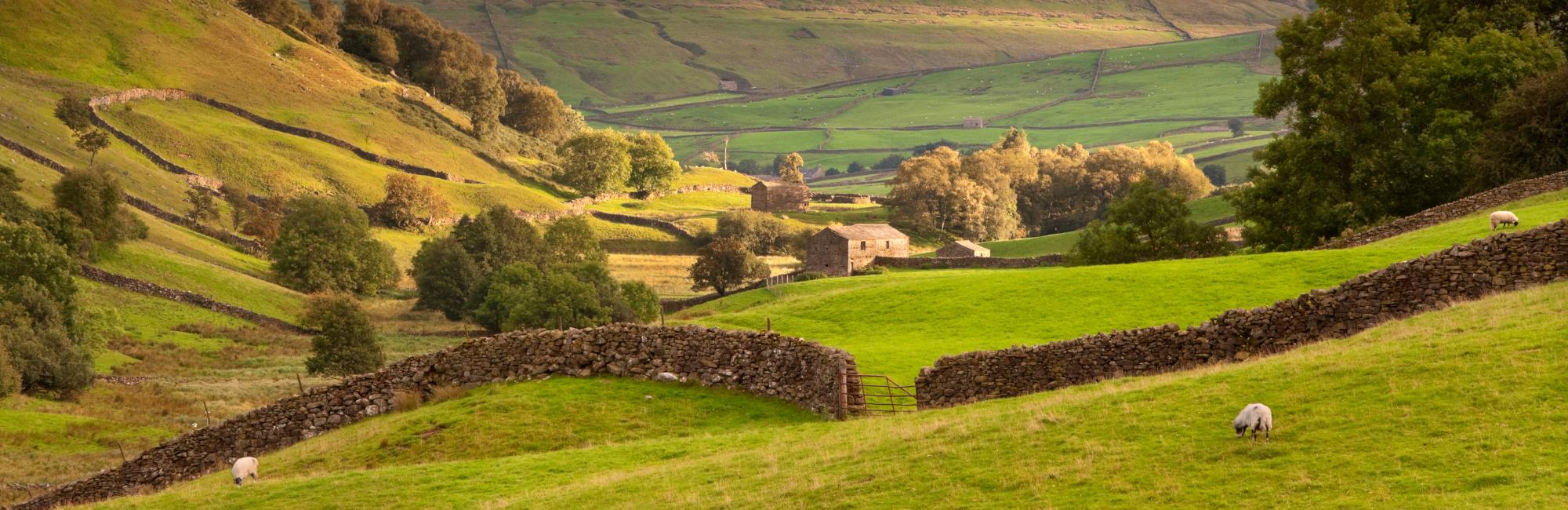 UK European Bike Tours