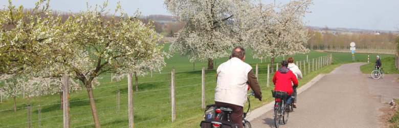 two people cycling in nature
